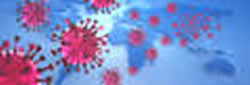 Corona Virus Bild Corona Virus Bild